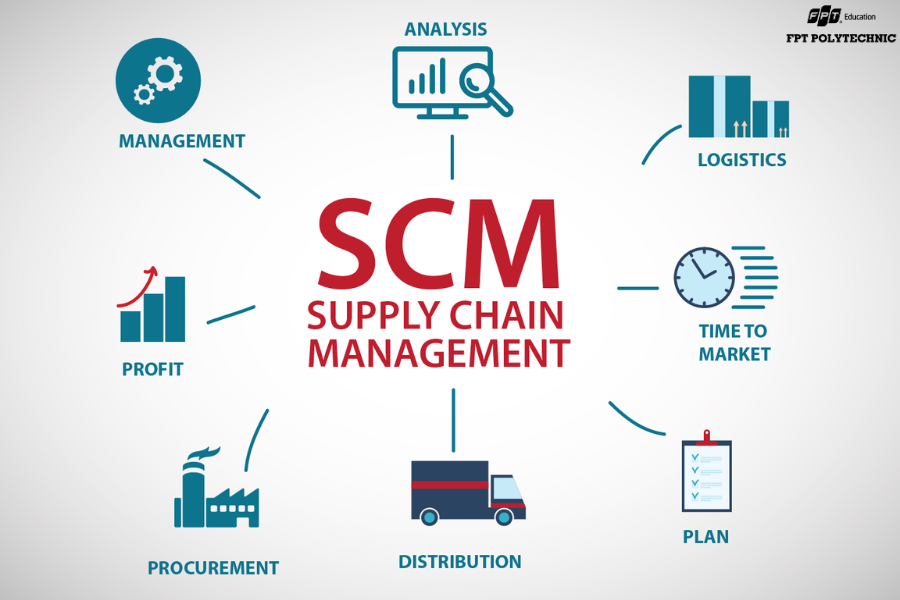 10 vị trí việc làm phổ biến nhất khi tốt nghiệp chuyên ngành Logistic