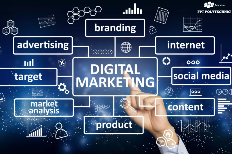 Top 5 sự thật bạn cần biết trước khi theo học chuyên ngành Digital Marketing