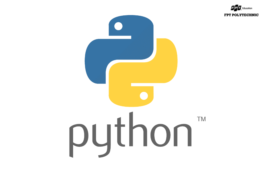 Python là ngôn ngữ dễ học, hỗ trợ lập trình mobile và nhiều lĩnh vực khác, phù hợp cho cả người mới bắt đầu.