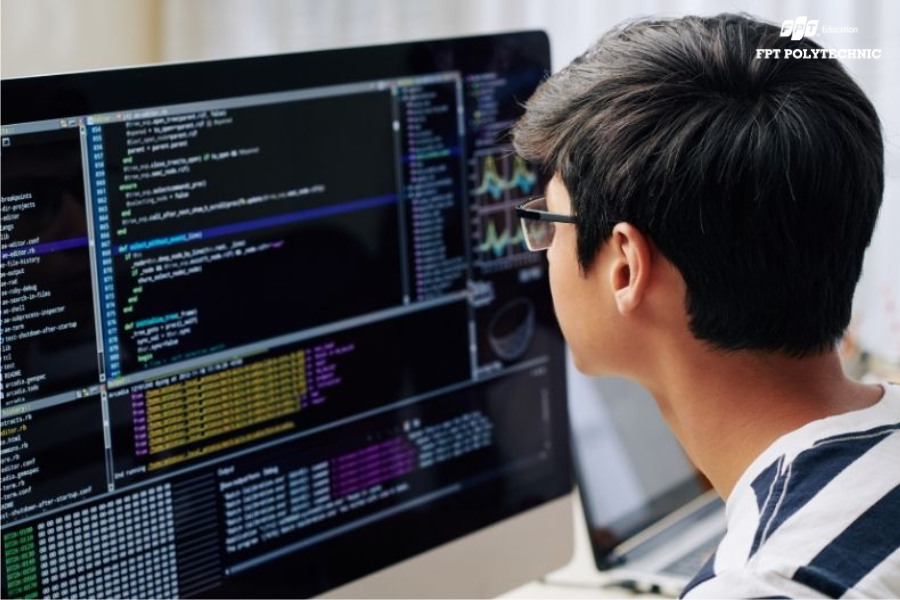 Công nghệ thông tin (CNTT) hiện là một trong những ngành mũi nhọn, đóng vai trò quan trọng trong sự phát triển kinh tế và quá trình chuyển đổi số tại Việt Nam.