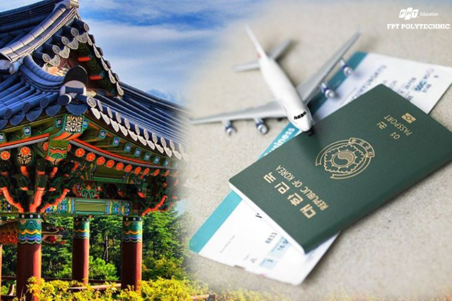 Nếu bạn có định hướng học tập nâng cao, việc giỏi tiếng Hàn mở ra cơ hội nhận học bổng từ các trường đại học danh tiếng tại Hàn Quốc.