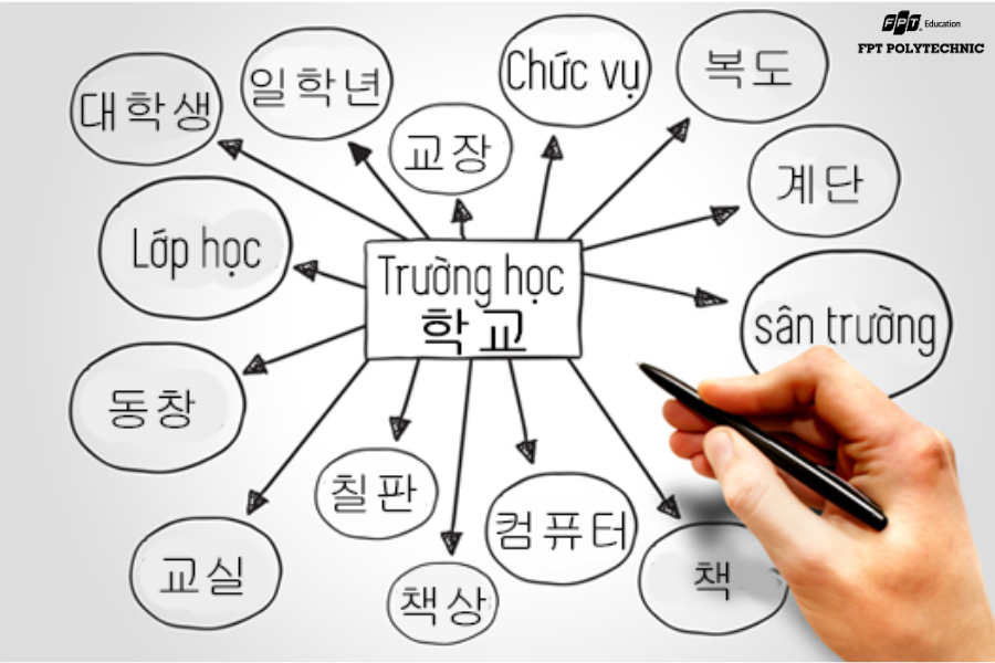 Bộ não con người tiếp nhận và ghi nhớ hình ảnh nhanh gấp nhiều lần so với chữ viết đơn thuần. Do đó, thay vì viết một danh sách từ vựng dài ngoằng, bạn hãy kết hợp hình ảnh và màu sắc.