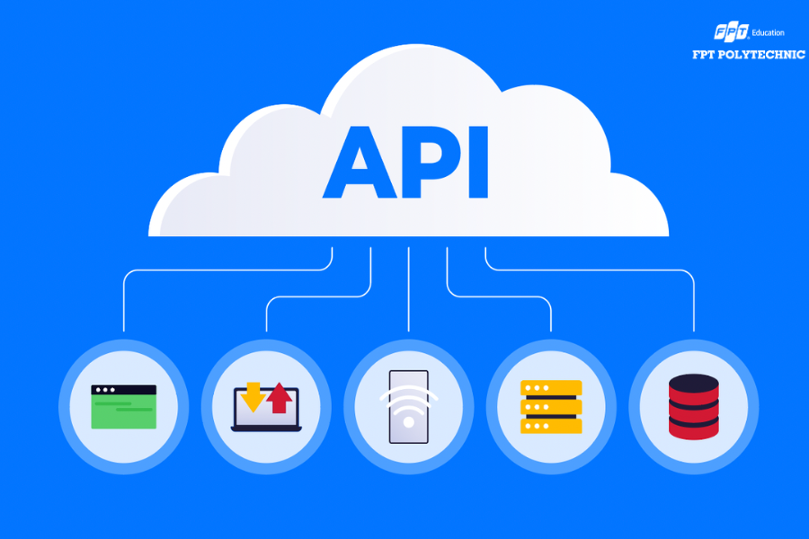 Làm việc với dữ liệu và kết nối API là rất cần thiết khi học lập trình mobile
