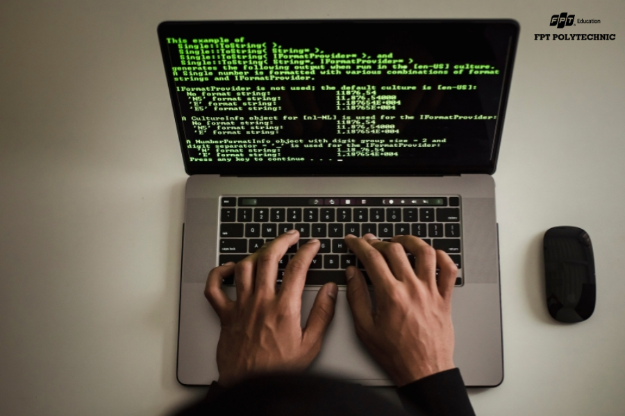 Lời khuyên thực tế dành cho người mới chính là: hãy chọn lập trình web nếu bạn muốn một sự khởi đầu thuận lợi, ít áp lực