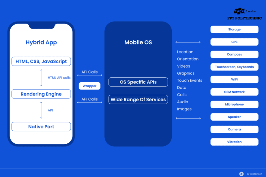 Có 5 bước cơ bản để bắt đầu học lập trình mobile trước