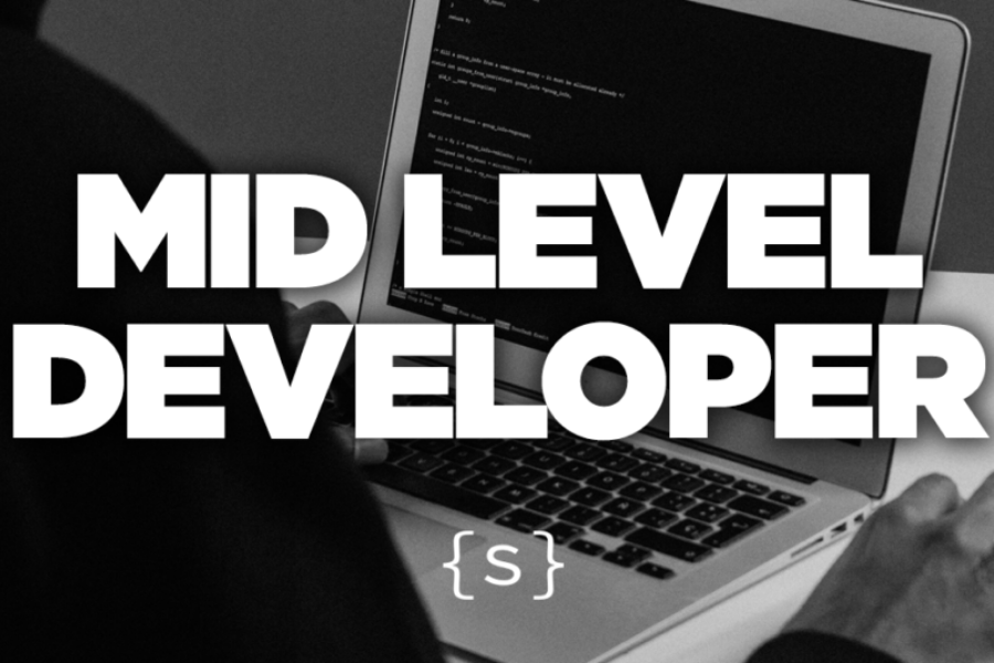 Middle Developer là cấp bậc có thể dẫn dắt nhóm nhỏ, đảm nhận các dự án phức tạp, và đưa ra giải pháp kỹ thuật tối ưu.