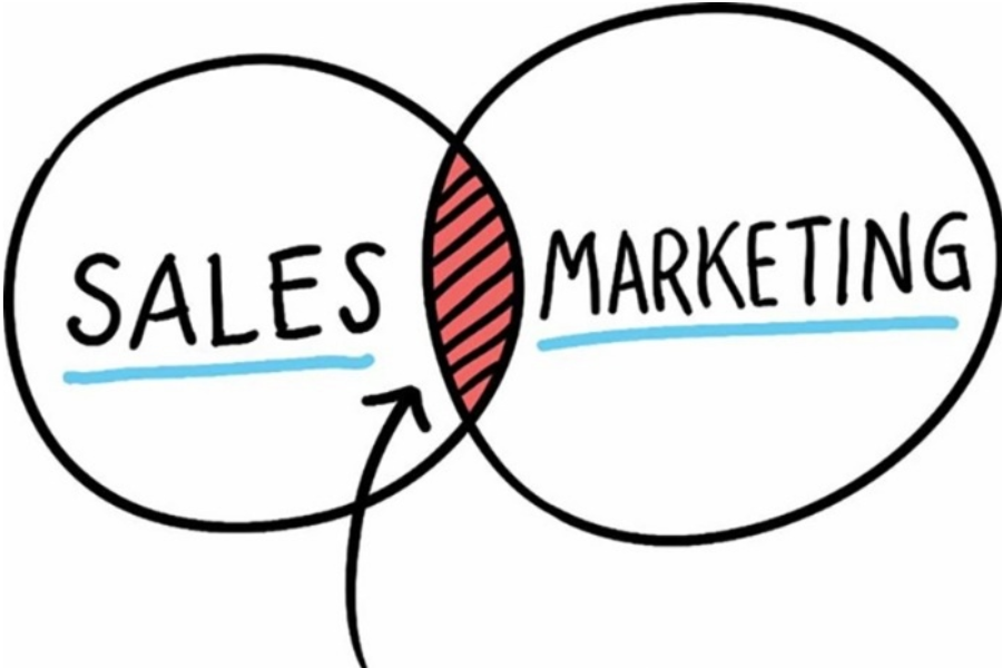 Lợi thế khi học ngành Marketing & Sale