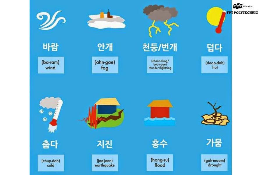 Một trong những cách hiệu quả nhất để ghi nhớ từ vựng tiếng Hàn là học theo chủ đề.