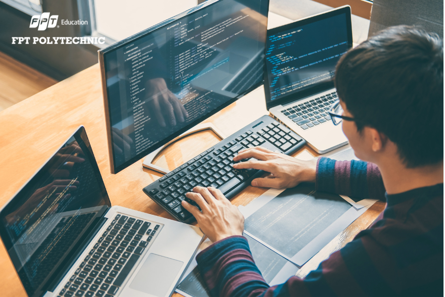 Cơ hội nghề nghiệp rộng mở cho sinh viên Lập trình WEB tại FPT Polytechnic 