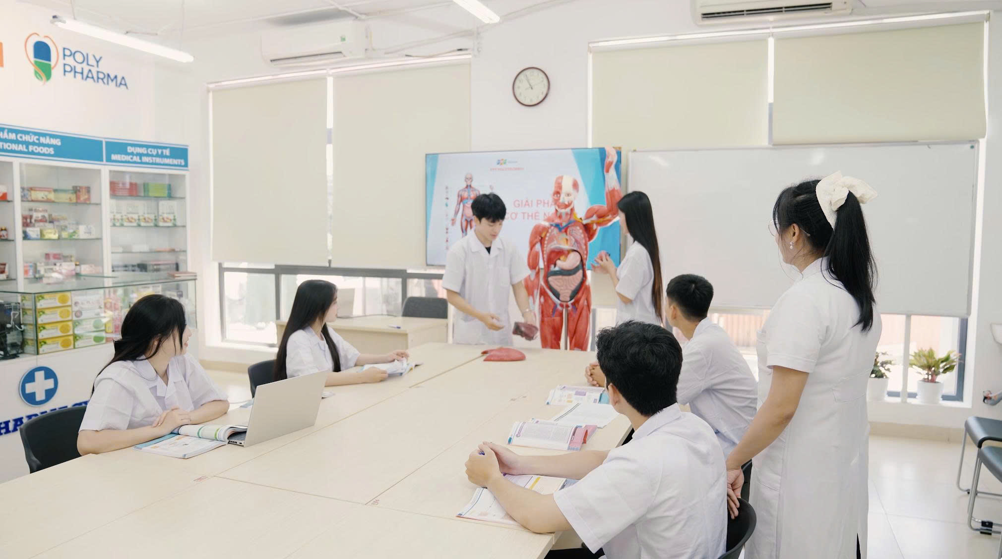 Hệ thống giáo cụ trực quan: Mô hình Giải phẫu cơ thể người kích thước chuẩn